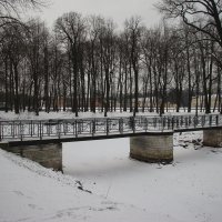 В Питер пришла зима... :: Наталья Герасимова