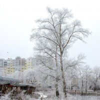 Зима в городе :: Сергей Тарабара