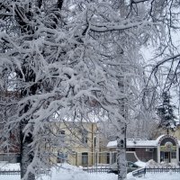 Зимний город :: Елена Семигина