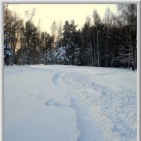 Приметы зимы. :: Liudmila LLF