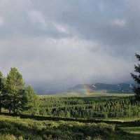 а ночью выпал снег :: nataly-teplyakov 