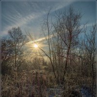 Первый день зимы 2018 № 5 :: Андрей Дворников