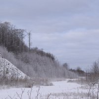 .... :: Михаил Жуковский