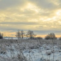 Декабрь уж на дворе ... :: Николай Танаев