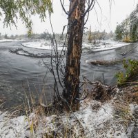 Первый снег. :: Николай Андреев