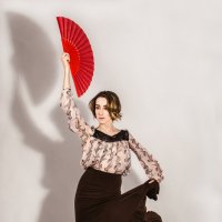 Flamenco Style :: Виталий Шевченко