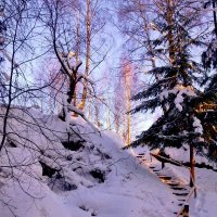 лестница к роднику :: Владимир 