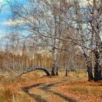 Дорогами осенними :: Mikhail Irtyshskiy