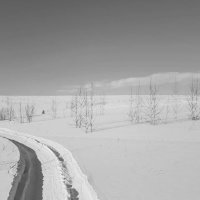 Дорога зимой :: minua83 киракосян