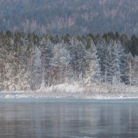 Белые кружева :: Анатолий Соляненко