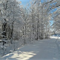 После снегопада :: Leonid Rutov