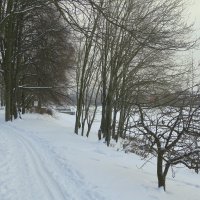Зима :: Валентина Жукова