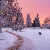 Дорожка в парке :: Юлия Батурина