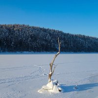 Река Сылва.Ясный день :: Алексей Сметкин