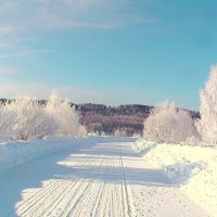 Зимнее утро в деревне... :: Александр 