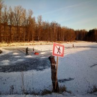 Выход на лёд запрещён... :: Елена Павлова (Смолова)