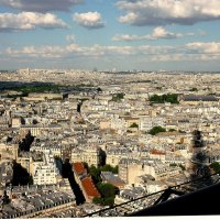 Париж с высоты Эйфелевой башни :: Ольга 