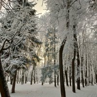 Зимний парк. Коломна. :: Светлана Исаева