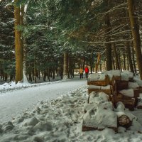 Прогулки по зимнему парку :: юрий поляков