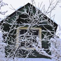 Зима, холода, одинокие дома... :: Татьяна Помогалова