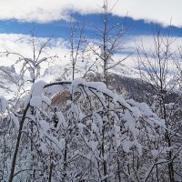 зимняя сказка :: валентин яблонский