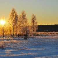 Солнце и мороз красит нежным цветом. :: Николай Масляев