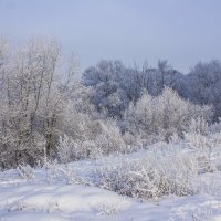 Зима :: Петр Беляков