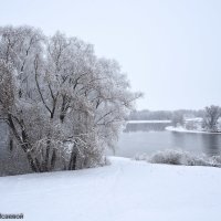 Излучина Москвы - реки в декабре. :: Светлана Исаева