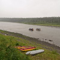 222. Они уходят в даль туманную. :: ВикТор Быстров