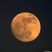 Луна. :: Валерьян Запорожченко