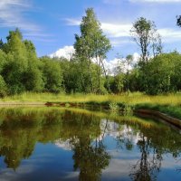 Озеро всех Святых. Радонеж. :: Olcen Len