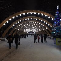 Зима в Сокольниках :: Евгений Седов