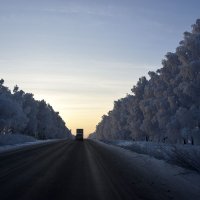 зимняя дорога :: Алексей Логинов