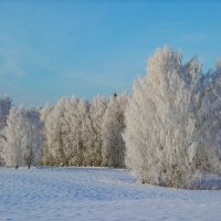 Морозный день в Пермском крае :: Алексей Сметкин