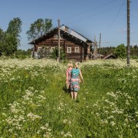 Деревенская жизнь. :: владимир 