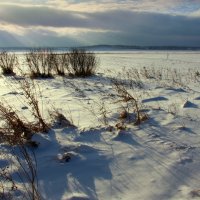 Снег укрыл поля родные... :: Нэля Лысенко