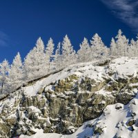 Горный Алтай. Перевал Чике-Таман :: Александр Купцов