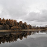 Осень. :: Саша. Беликов