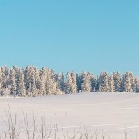 Мороз и солнце :: Aquarius - Сергей