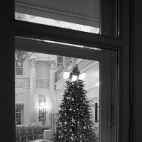 Новогодняя в окне ... :: Лариса Корженевская