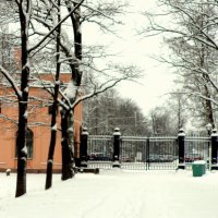 зимой в парке :: Сергей 