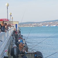 Рыбаки  и наблюдатели на набережной Геленджика :: ИРЭН@ .