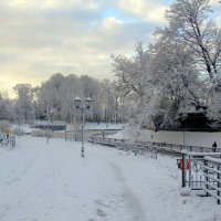 Сегодня выпал первый снег! :: Сергей Карачин
