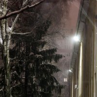 туманная ночь 1 :: Геннадий Свистов