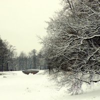 В парке зимой :: Сергей 