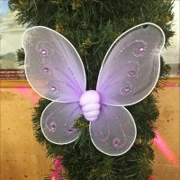 Зимняя бабочка :: Надежда 