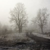 Туман.... :: Татьяна Смирнова