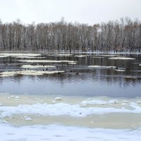 Река зимой :: Сергей Тарабара