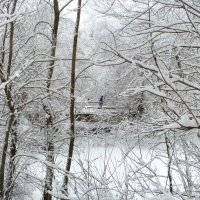 Кружева :: Сергей Тарабара