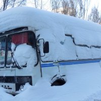 Замело! :: Надежда 